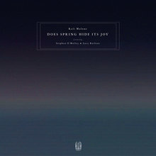 Does Spring Hide Its Joy (Feat. Stephen O'malley & Lucy Railton) CD1