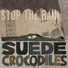Stop The Rain (Vinyl)