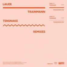 Trainmann (Tensnake Remixes) (EP)
