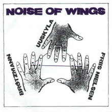 Noise Of Wings