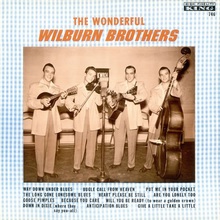 The Wonderful Wilburn Brothers (Vinyl)