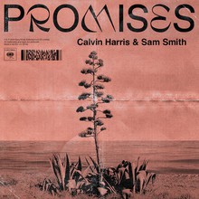 Promises (With Sam Smith) (CDS)