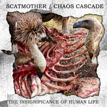 The Insignificance Of Human Life (With Chaos Cascade)