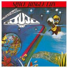 Space Jungle Luv (Vinyl)