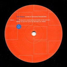 Limbo Of Vanished Possibilities (Vinyl)