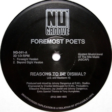 Reasons To Be Dismal? (EP) (Vinyl)