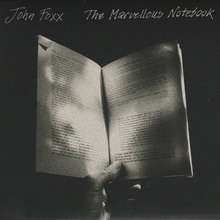 The Marvellous Notebook