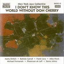 I Don't Know This World Without Don Cherry