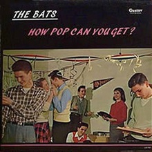 How Pop Can You Get? (Vinyl)