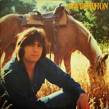 David Patton (Vinyl)