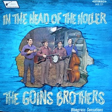 In The Head Of The Holler (Vinyl)
