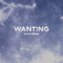 Wanting (CDS)