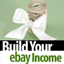 Build Your eBay Income