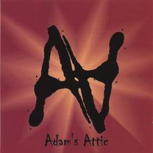 Adam's Attic