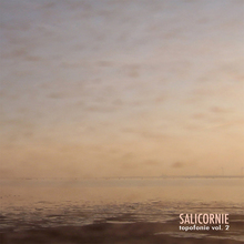 Salicornie (Areavirus Topofonie Vol 2)