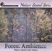 Forest Ambience (Nature sounds only version)