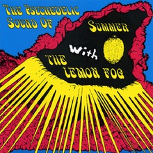 The Psychedelic Sound Of Summer (1967-68)