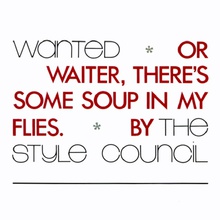 Wanted (Or Waiter, There's Some Soup In My Flies) (MCD)