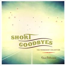 Short Goodbyes-The Permanent Collection