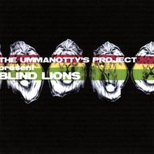 Blind Lions
