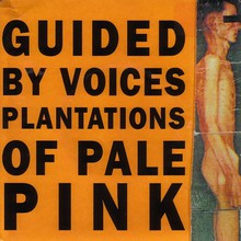 Plantations Of Pale Pink (EP)