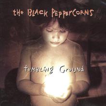 Tumbling Ground (With The Black Peppercoins)