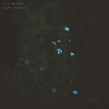 Night Flowers (EP)