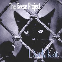 Dark Kat