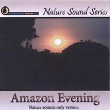 Amazon Evening (Nature sounds only version)