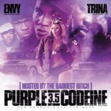 Purple Codeine, Part 3.5 (By Dj Envy & Trina)