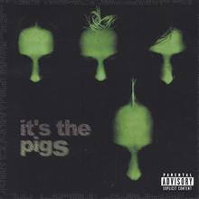 it's the pigs