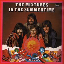 In The Summertime (Vinyl)