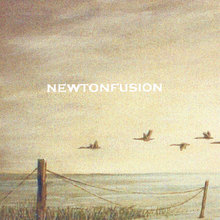 Newtonfusion