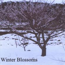 Winter Blossoms