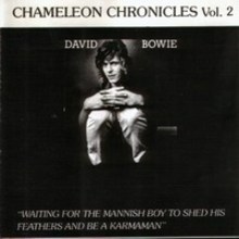 Chameleon Chronicles Volume 2