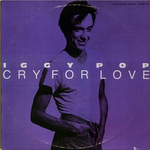 Cry For Love (VLS)
