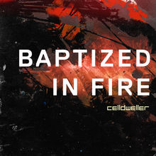 Baptized In Fire (CDS)