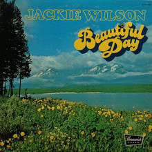 Beautiful Day (Vinyl)