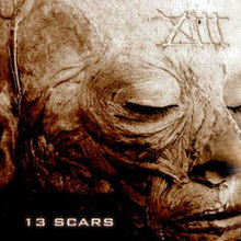 13 Scars