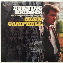 Burning Bridges (Vinyl)