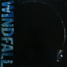 Windfall (EP) (Vinyl)