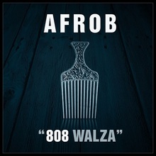 808 Walza (CDS)