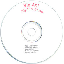 Big Ant's Groove