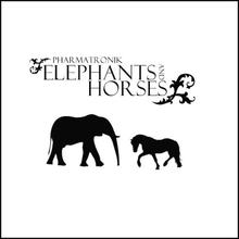 Elephants & Horses