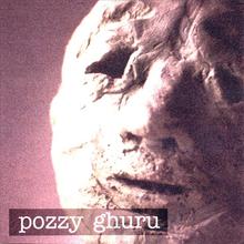 Pozzy Ghuru