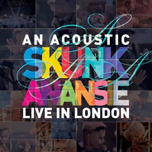 An Acoustic Skunk Anansie (Live In London)