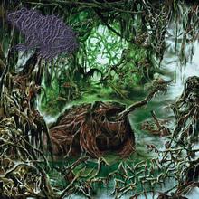 Consumed By Frogs