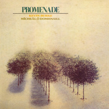 Promenade (With Mícheál Ó Domhnaill) (Vinyl)