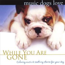 Music Dogs Love: While You Are Gone