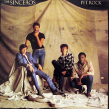 Pet Rock (Vinyl)